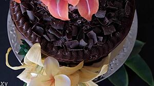 Gay Solo Odyssey On Birthday