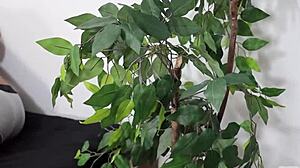 Passive turns active!