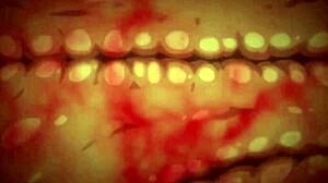 cuando te crees mucho pero eres fresa 😅 in anime hentai style.