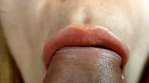 Extreme Close-Up Blowjob Bliss with Homemade Gay Couple Action
