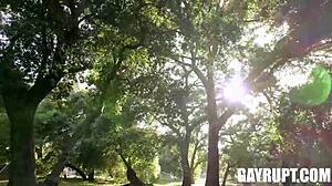 Dirty secrets with Nico and friends 😈