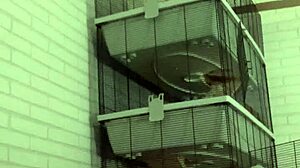 Watch horny piss play on my sofa.