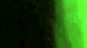 Innocent Girl Fucks In Motel For Money!