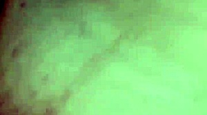 Accidental creampie in wild anime scene