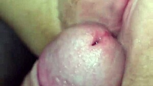 Accidental creampie in wild anime scene