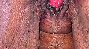 licking her pussy after she pisses on the road, then she sucks my monster cock?