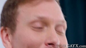 Deep Knead And Deep Breed