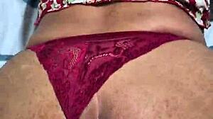 moray eels with captivating intense looks