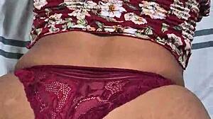 moray eels with captivating intense looks