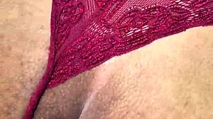 moray eels with captivating intense looks