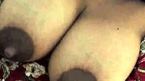 moray eels with captivating intense looks