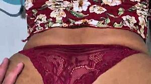 moray eels with captivating intense looks