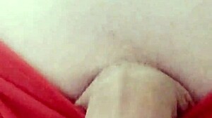 Brincando com thong e cock na webcam?