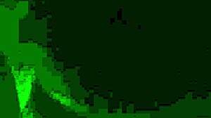 Homemade bj and fingering with mature chubby amateurs on phone.