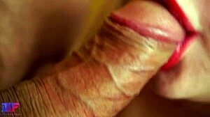 POV Close-Up of Detailed Blowjob and Cum in Mouth