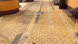 dude, we're filming a wild vacation vid with hard spanking and crazy moans 😜