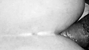 Por El Culo En Blanco Y Negro