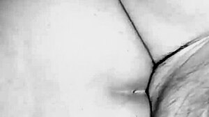 Por El Culo En Blanco Y Negro