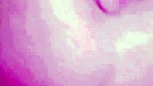 Tattoo Artist Gets Paid With Ass Plug During Session