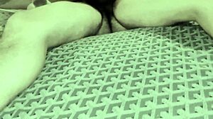 Norwegian group rides mexican dick in anal sex squirting swingers session