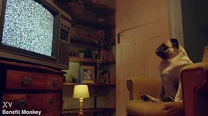 Blue-Eyed Teen Liz Rainbow Receives Facial Cumshot From American Prostitute