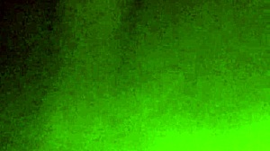 suck my dick like a slut