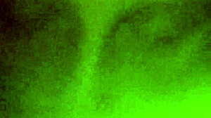 suck my dick like a slut