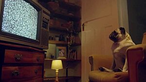 fantasie and emily pink dive into wild lesbian ass play