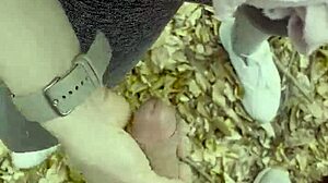 A girl next door gets a big cock inside her in a public park