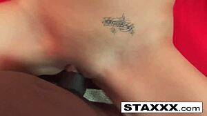 interracial pov fucking with dawn iris in hardcore blowjob and cumshot.