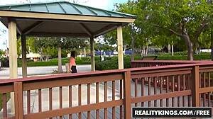 realitykings street blowjobs with harley ann wolf and tyler steel banging hard