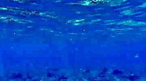 Asian Beauty Speech Shows Off Huge Dildo in Wild Style