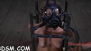 Tough Honey Feels Intense Pleasure From Wild Toys On Her Clits And In Her Anal