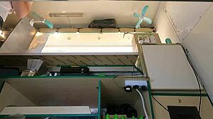 Hot Babe in Pink Skirt Caught on Hidden Camera Upskirt