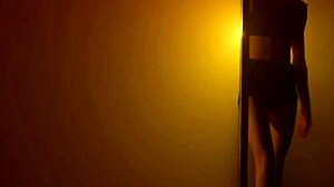 pole dance strip tease sensual latina dancing cowgirl