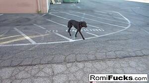 Romi Rain and Dani dive into steamy lesbian fun under black-light vibes.