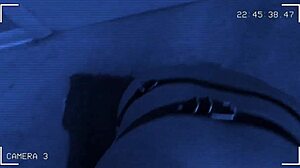 Roxy, the Latina sex slave, kneels to suck cock eagerly