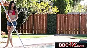 Girl, suck those big black cocks?