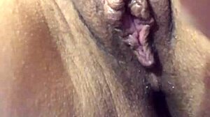 the wet pussy and juicy ass love playing with toys and dripping lips