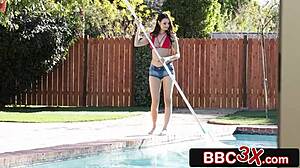 Girl, suck those big black cocks?