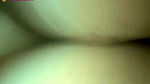 young bull fucks me in the morning