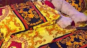 sundaydogood614 shares update 306 on july 11 2024