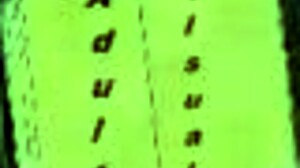 Harem Hotel 115 unleashes wild games in steamy rooms