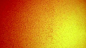 Can you believe this cheap Asian hooker deal?