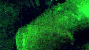 i got this hot mature lady suckin my dick