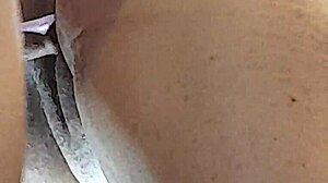 Brazilian Amateur Couple Part 6 - Naughty Little 18+ Aunt Anal Sex