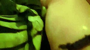 Video Recorded On November 19, 2017 At 23:25:30