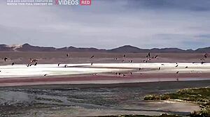 i filmed explicit public sex in bolivia with a sexy german brunette babe