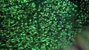 uhh, it’s my masturbation time, gotta do this quick before anyone sees me, ya know?