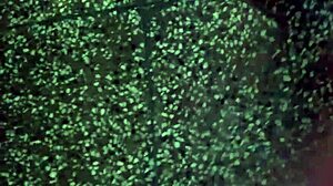 uhh, it’s my masturbation time, gotta do this quick before anyone sees me, ya know?